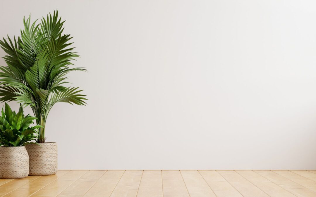 Espaço Negativo: A Importância do Vazio no Design